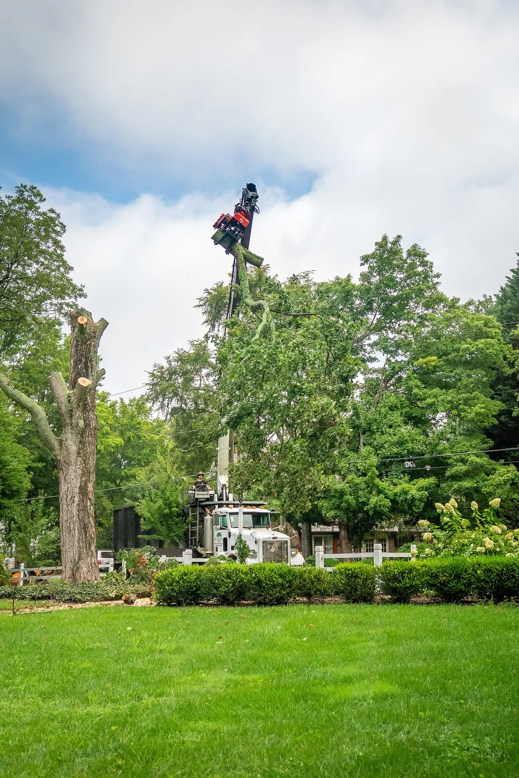 Crane-mounted grapple saw taking a limb high above the job site