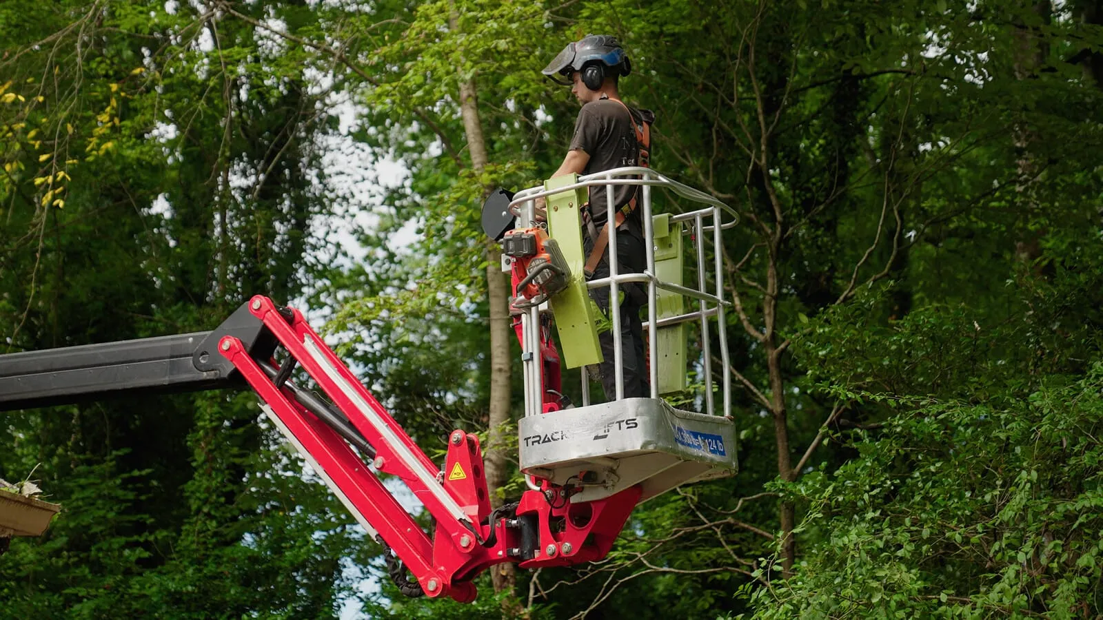 Arborist working from a lift among dense tree cover