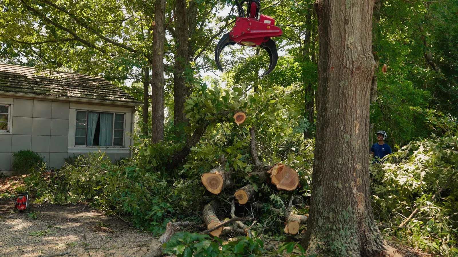Cut trunk sections stacked beside a house as the grapple saw works overhead