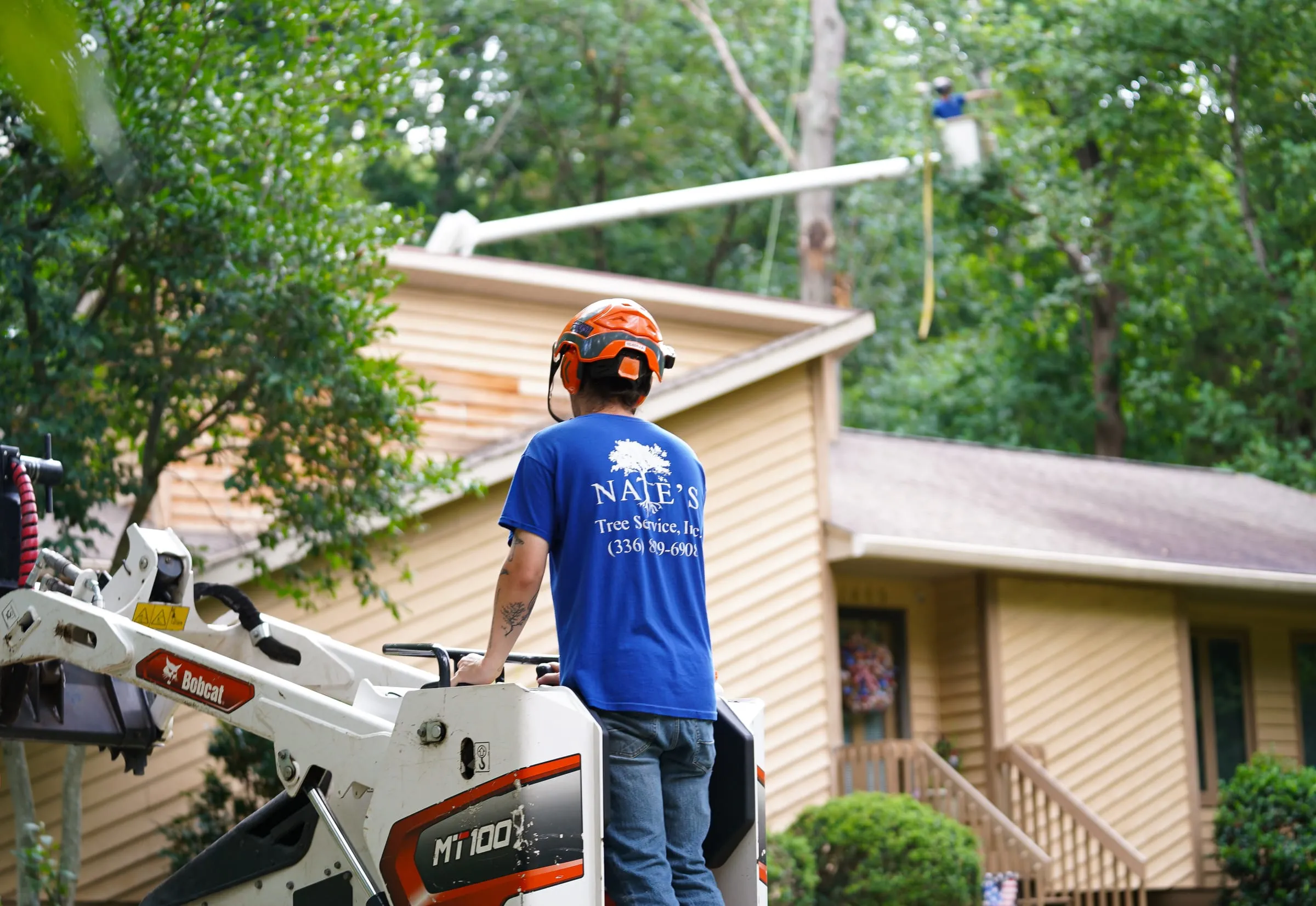 Nate's Tree Service crew working a residential tree job