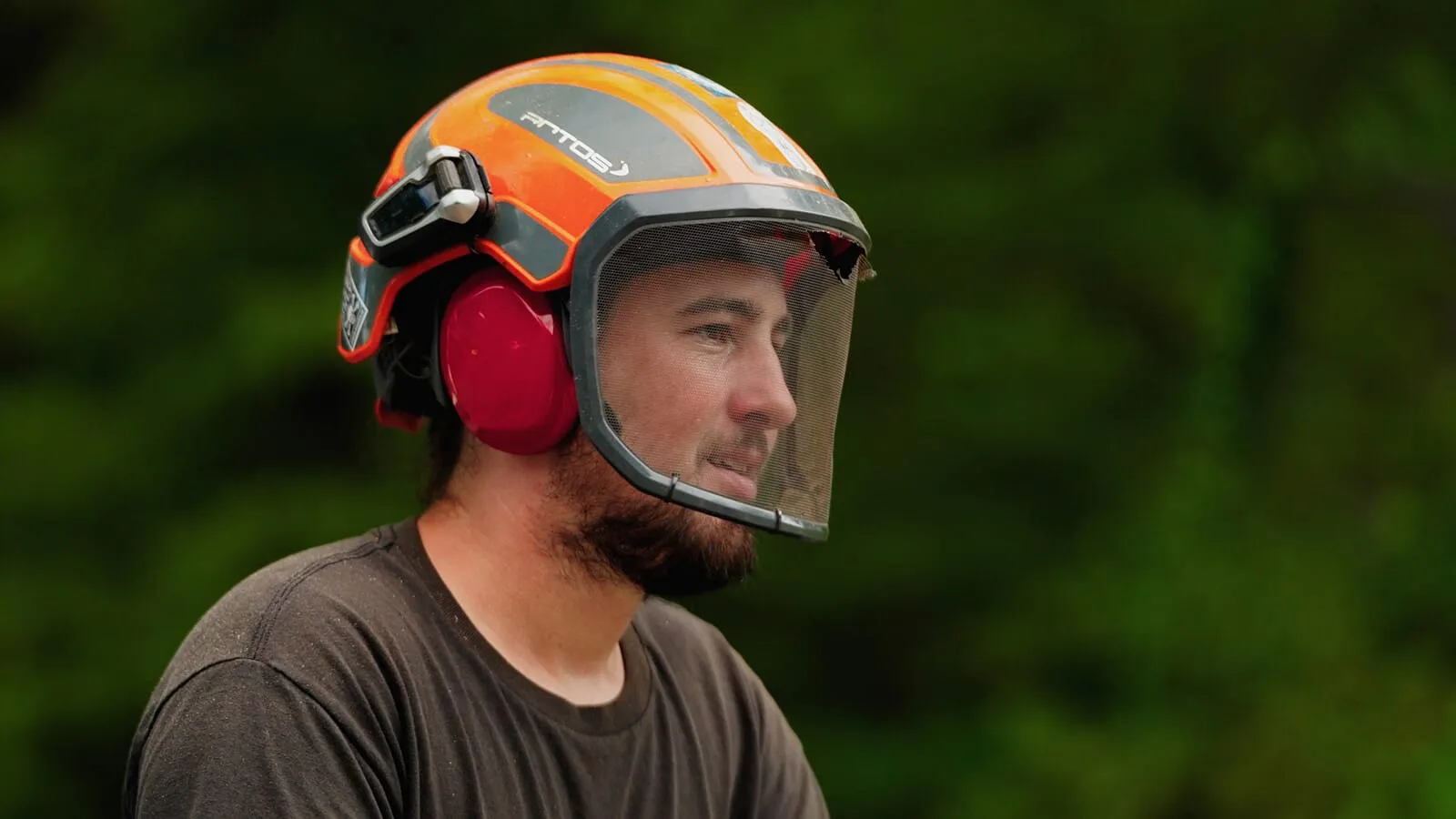 Certified arborist in a helmet and face shield on site