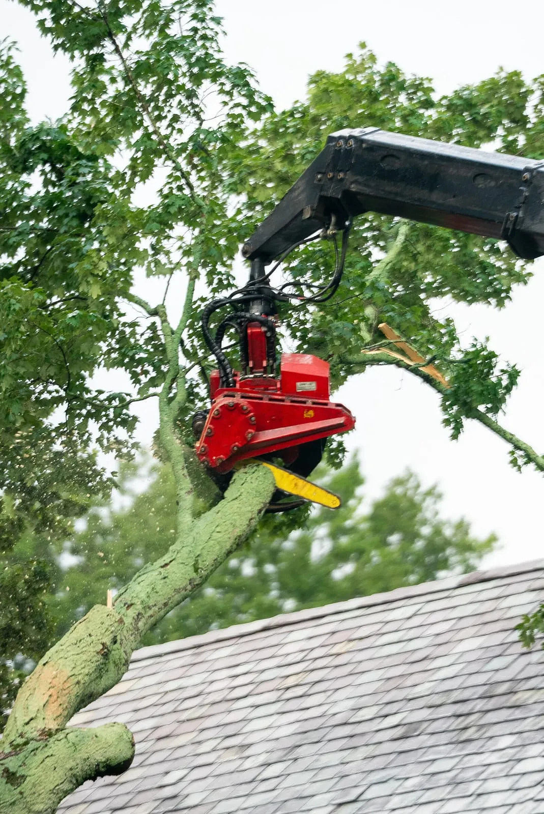 Grapple saw lifting a cut limb clear of a rooftop