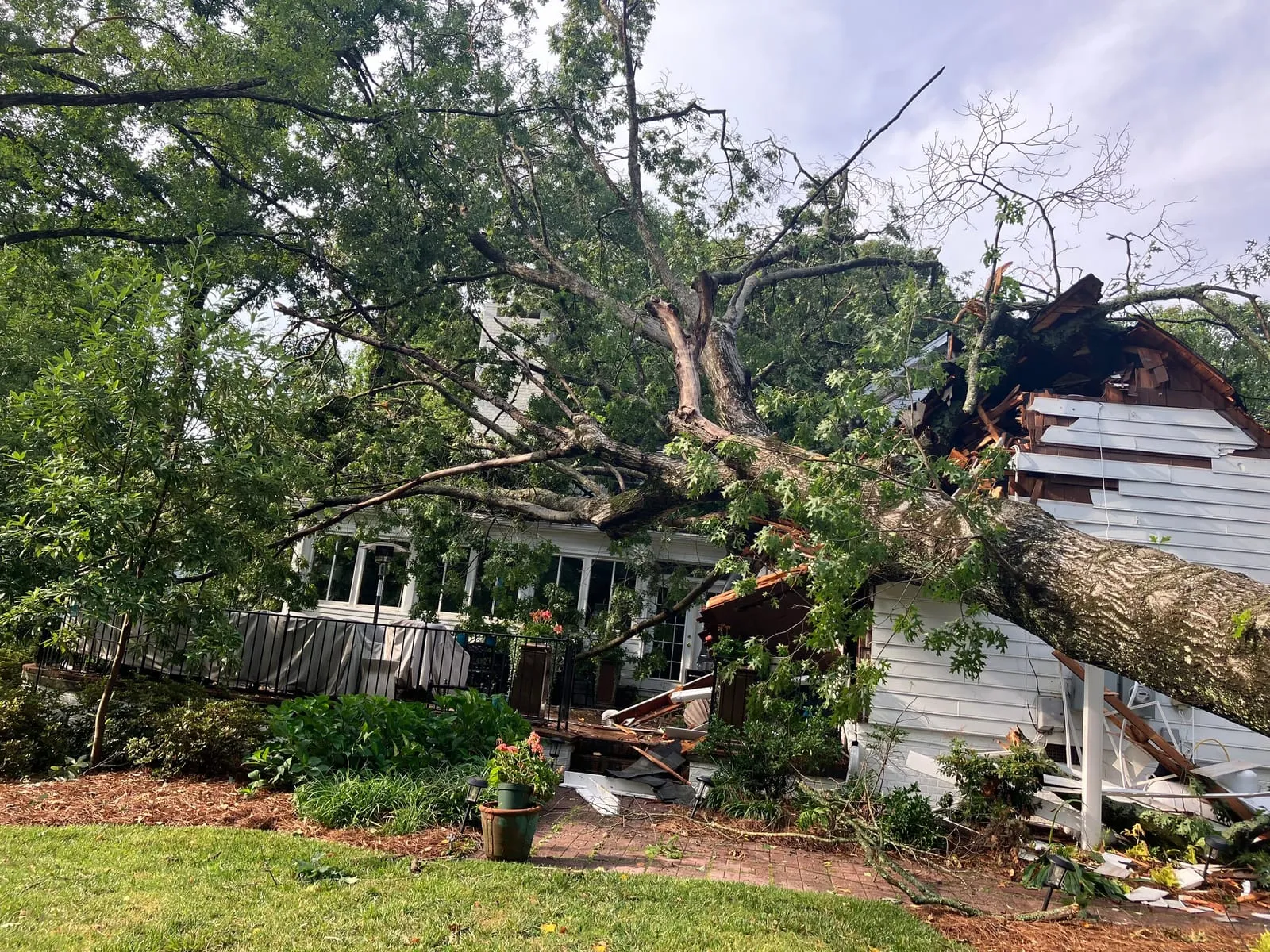 Storm-damaged tree being cleared from a property