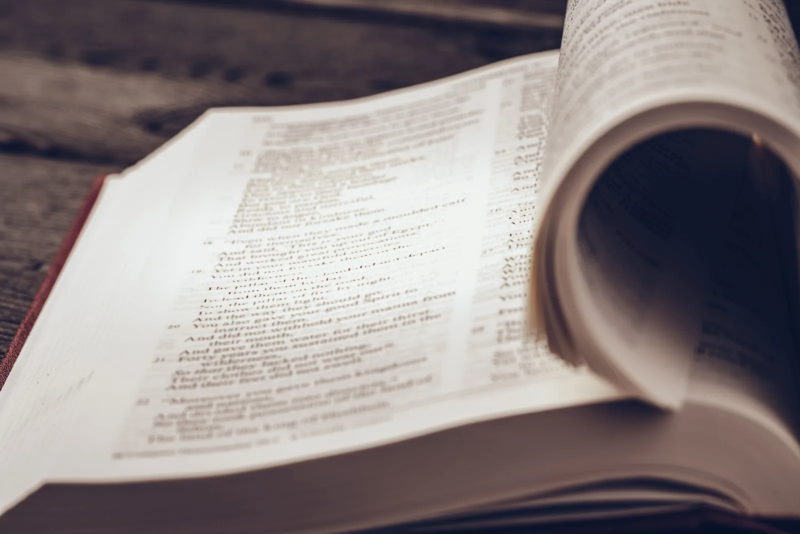 Bible