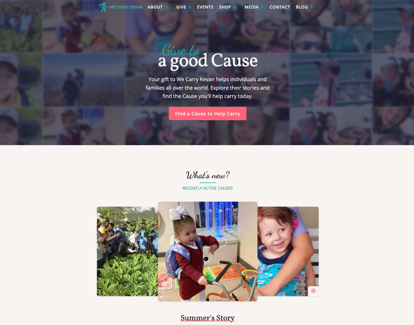 wecarrykevan.org 2